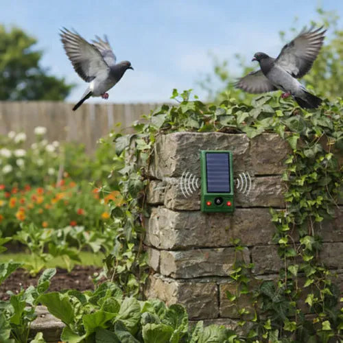 Répulsif à oiseaux - AltoPiaf™ Solaire à Ultrasons et à Led