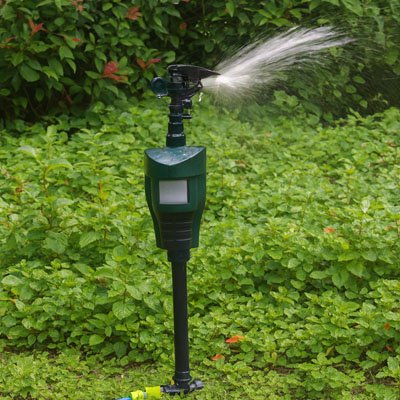 Répulsif à oiseaux arroseur rotatif pivotant à 360 degrés