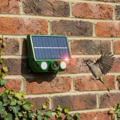 Répulsif à oiseaux pour protéger jardin, potager, balcon