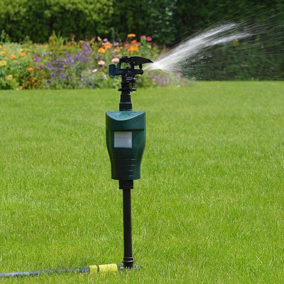 Répulsif à oiseaux pour protéger jardins, pelouses et potagers