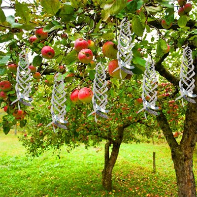 REPULSIF OISEAUX : MOYEN REPULSIF POUR FRUITIERS CONTRE LES OISEAUX​