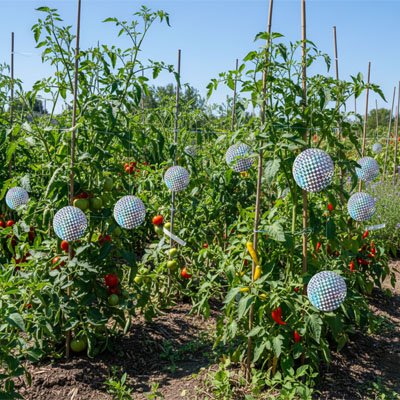 REPULSIF OISEAUX  POTAGER