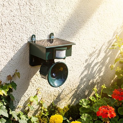 REPULSIF OISEAUX ULTRASON SOLAIRE​